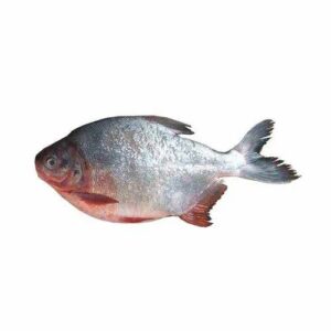 Rupchan Fish